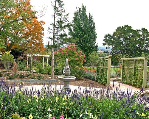 Sensory Garden Image 1